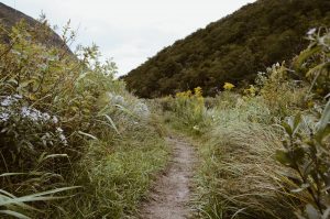 Hiking-Trail-300x199